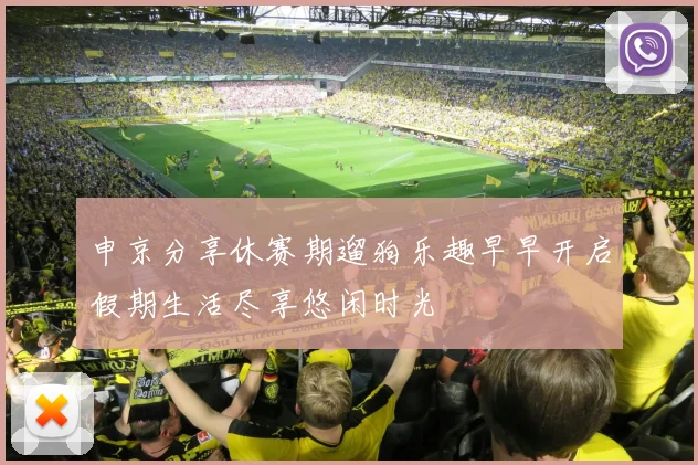 申京分享休赛期遛狗乐趣早早开启假期生活尽享悠闲时光