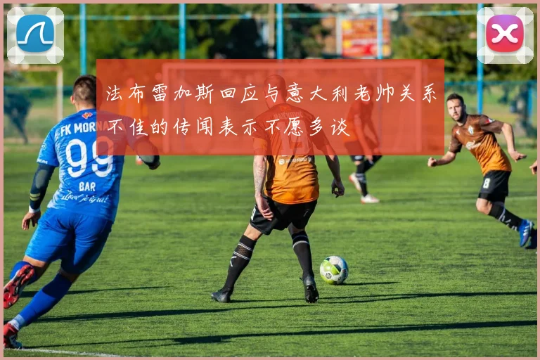 法布雷加斯回应与意大利老帅关系不佳的传闻表示不愿多谈
